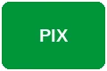 PIX即时支付方式图标